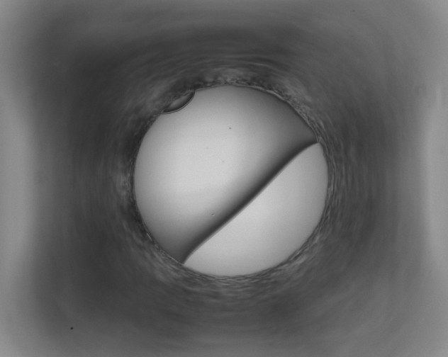 X0000113871109200909241000