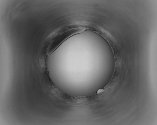 X0000113871110200909241000