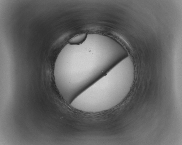 X0000113871111200909241000