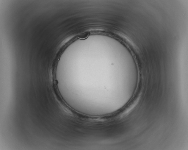 X0000113871113200909241000