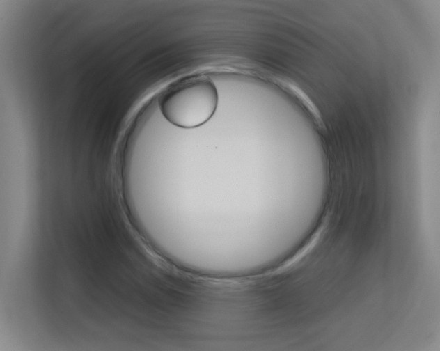 X0000113871114200909241000