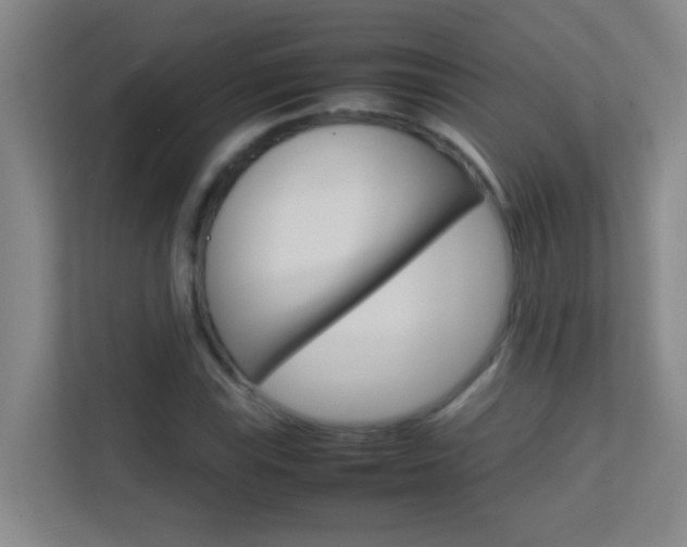 X0000113871115200909241000