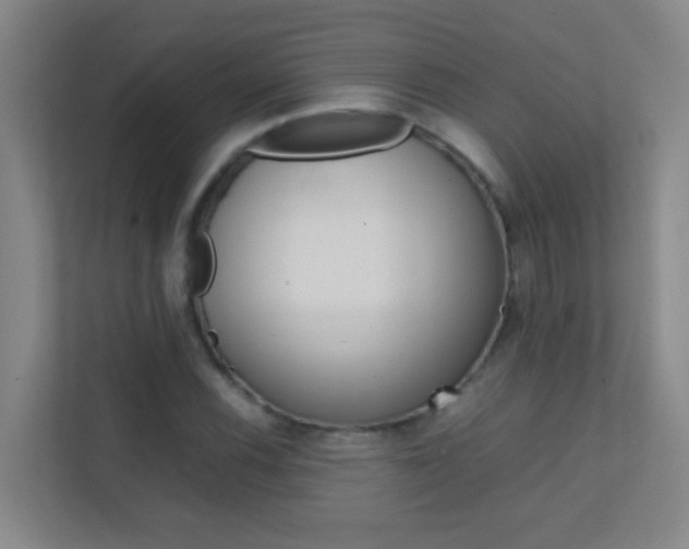 X0000113871116200909241000
