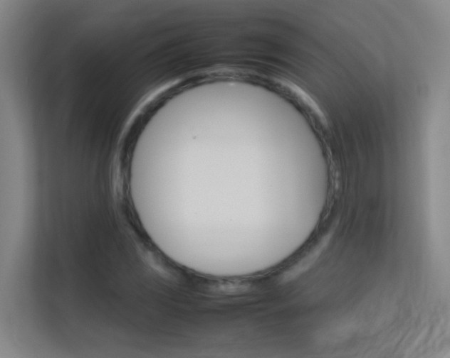 X0000113871117200909241001