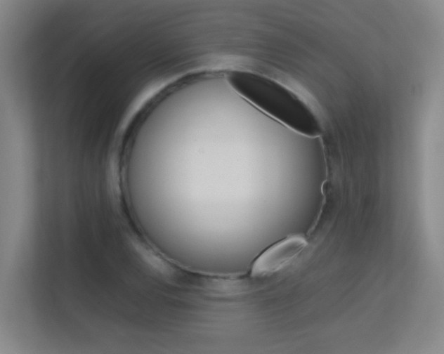 X0000113871120200909241001