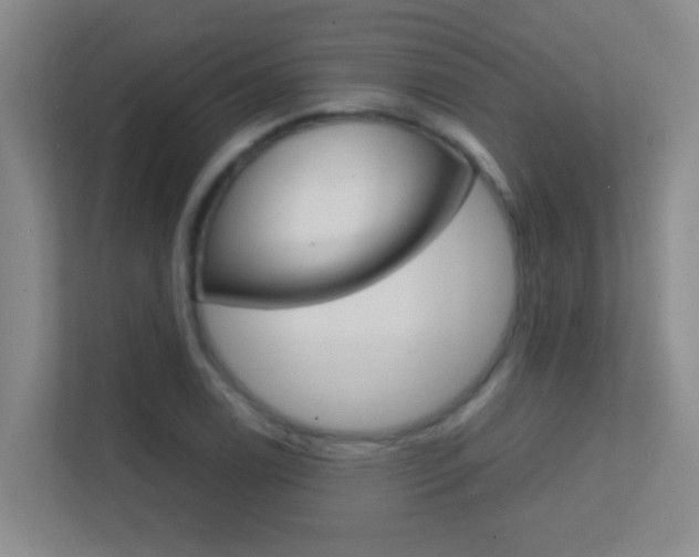 X0000113871122200909241001