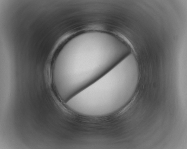 X0000113871123200909241001