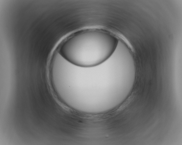 X0000113871124200909241001