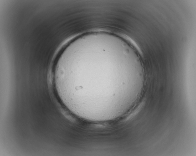 X0000113871125200909241001