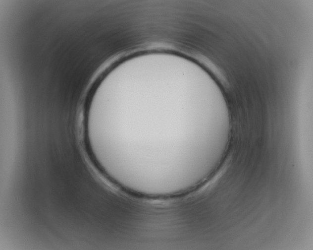 X0000113871126200909241001