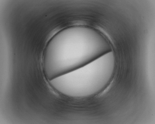 X0000113871129200909241001