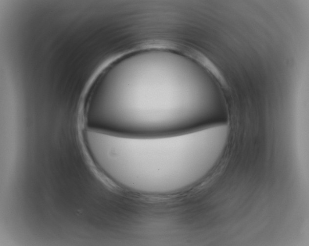 X0000113871132200909241001