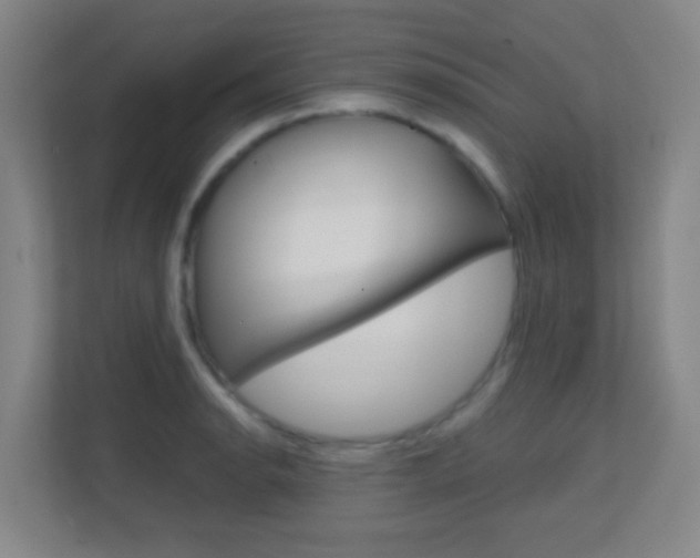 X0000113871134200909241001