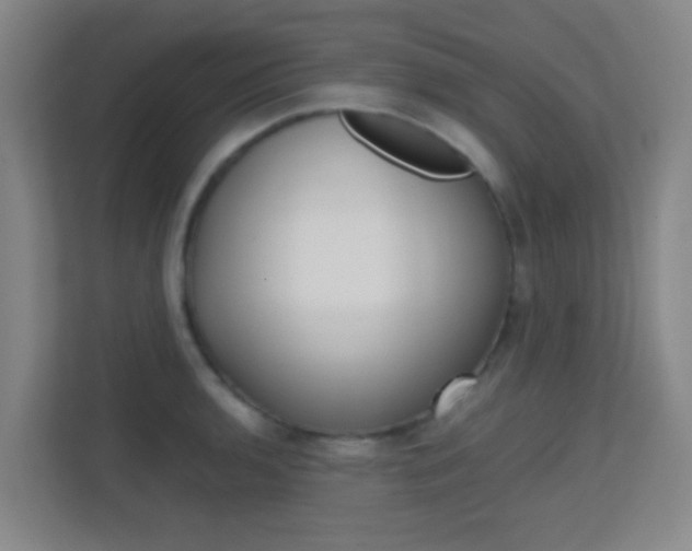 X0000113871136200909241001