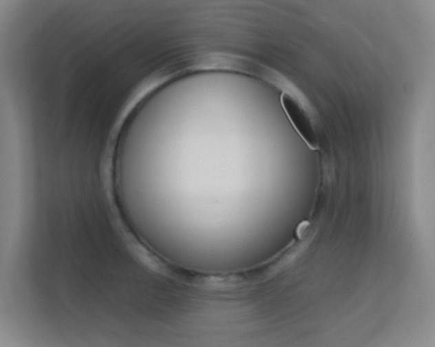 X0000113871138200909241001