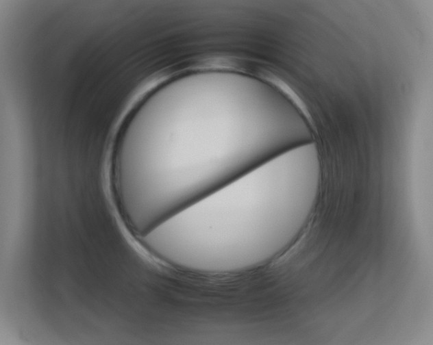 X0000113871139200909241001