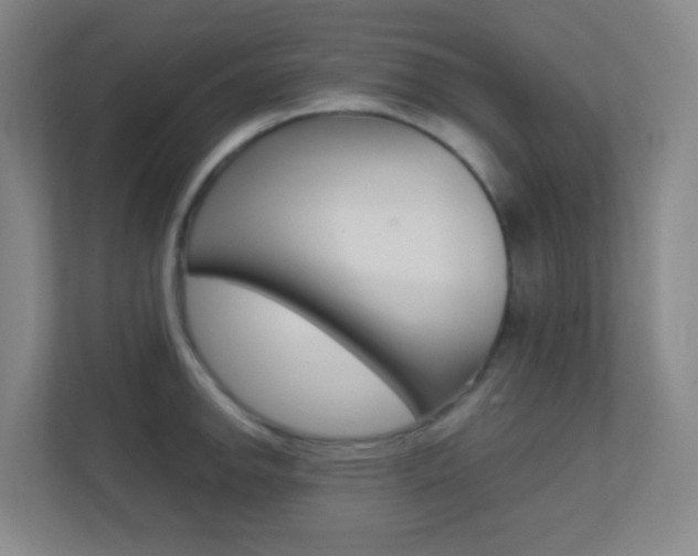 X0000113871142200909241001