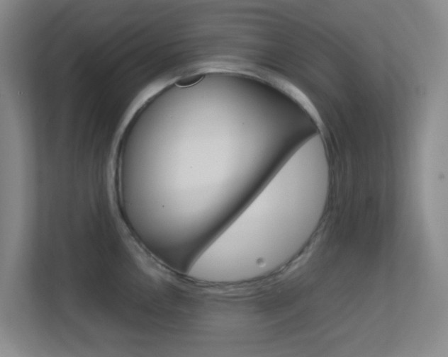 X0000113871146200909241001