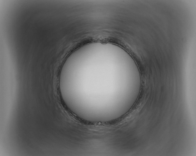 X0000113871153200909241000