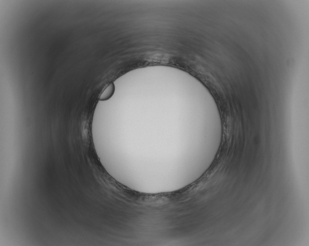 X0000113871154200909241000