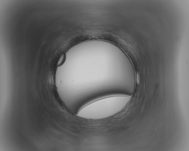 X0000113871155200909241000