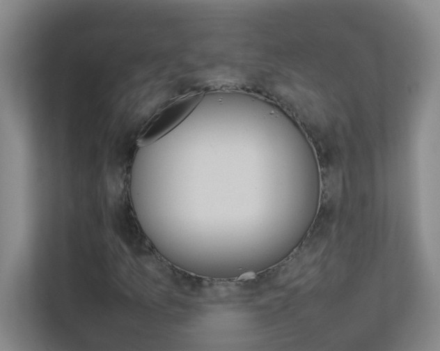 X0000113871157200909241000