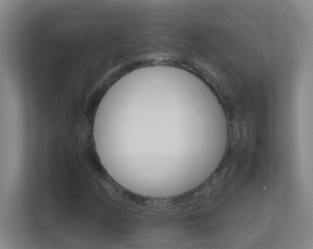 X0000113871158200909241000