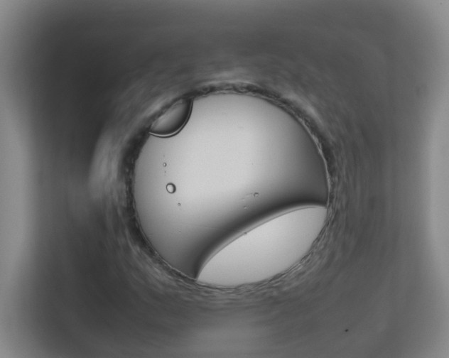 X0000113871159200909241000