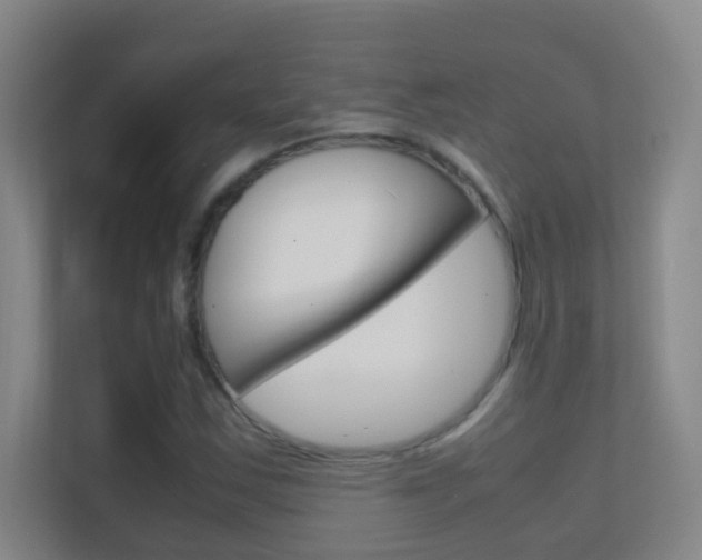 X0000113871163200909241000