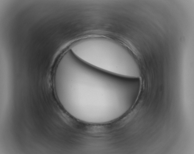 X0000113871164200909241000