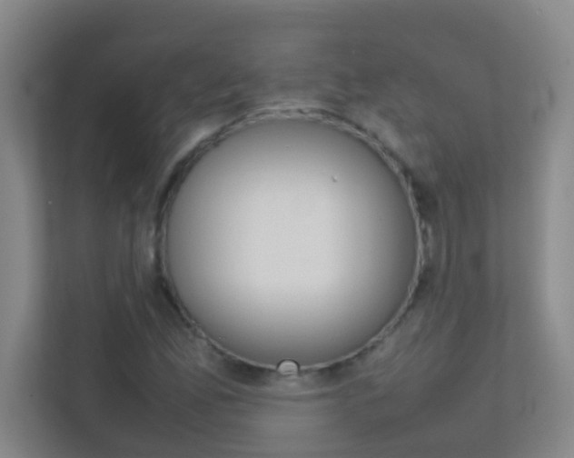 X0000113871165200909241000