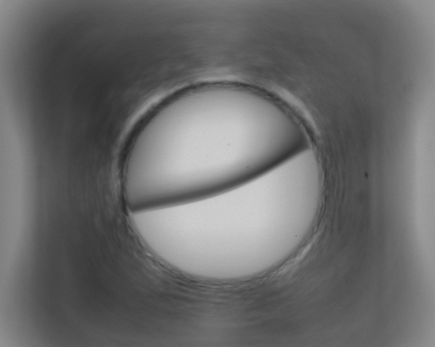 X0000113871167200909241000