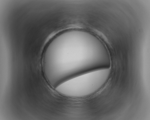 X0000113871168200909241000