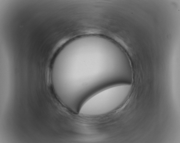 X0000113871171200909241000