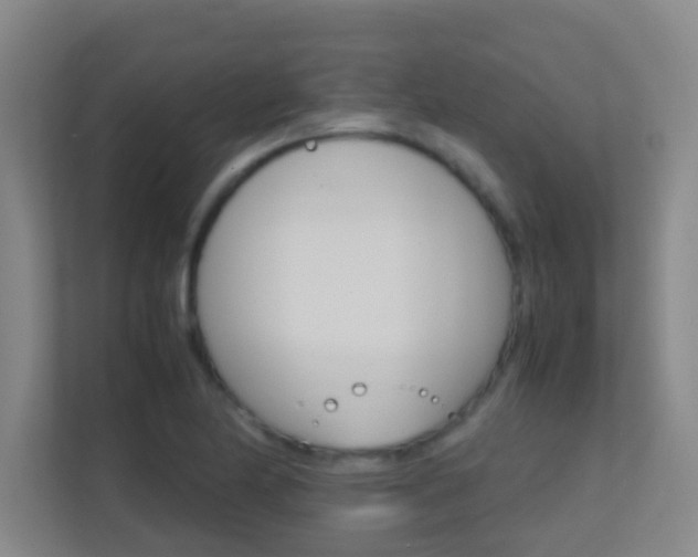 X0000113871174200909241000