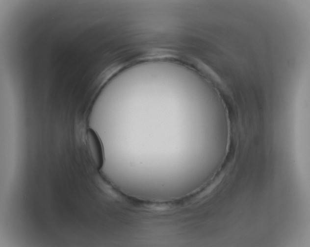 X0000113871177200909241000