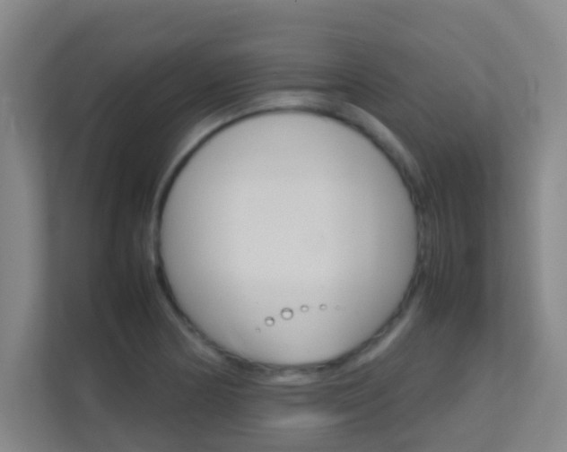 X0000113871178200909241000