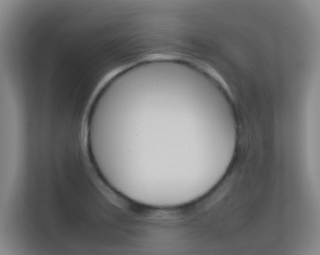 X0000113871179200909241000