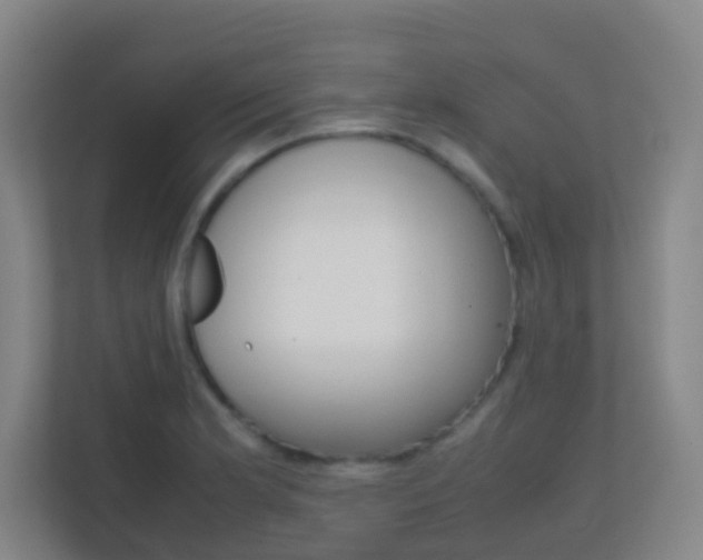 X0000113871181200909241000