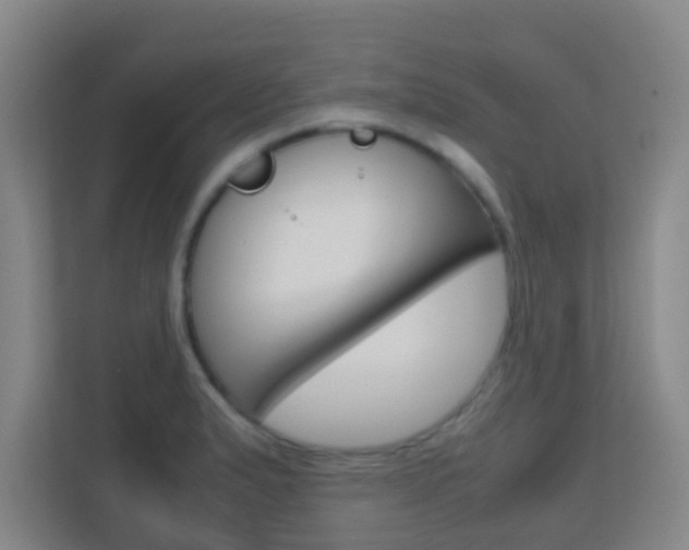 X0000113871183200909241000