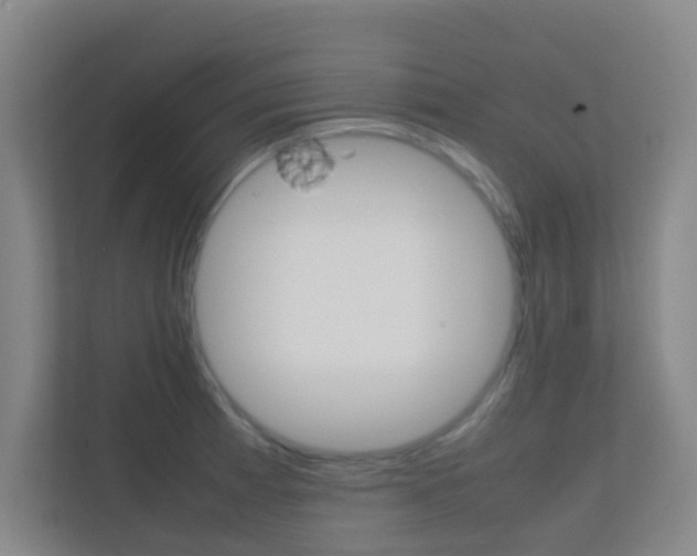 X0000113871185200909241000