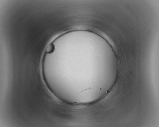 X0000113871187200909241000