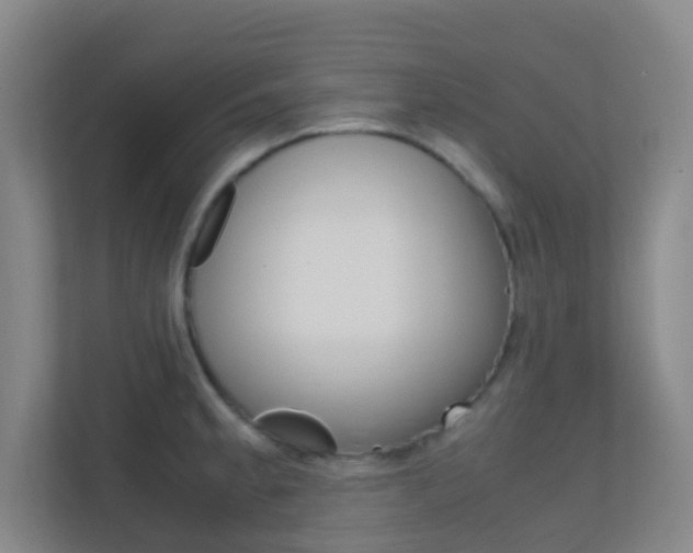 X0000113871189200909241000