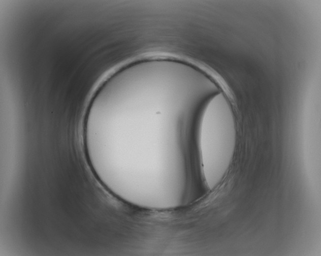 X0000113871191200909241000