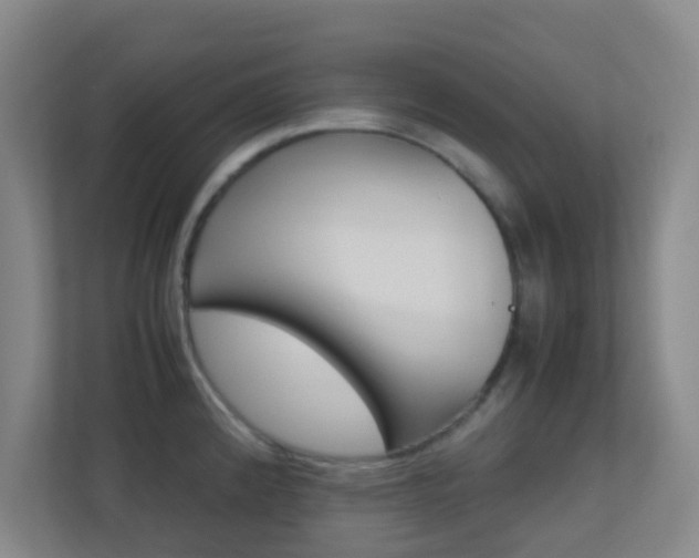 X0000113871192200909241000