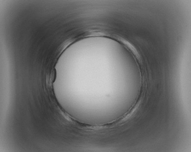 X0000113871193200909241000