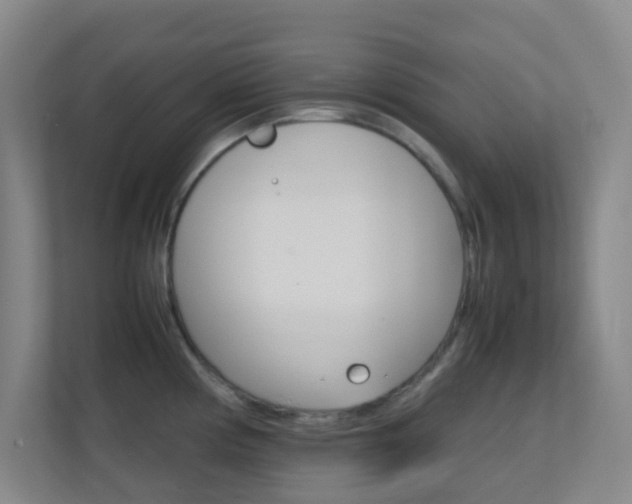 X0000113871194200909241000