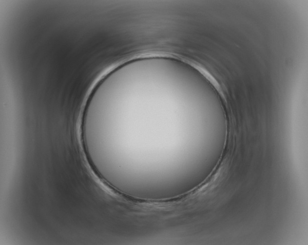 X0000113871197200909241000