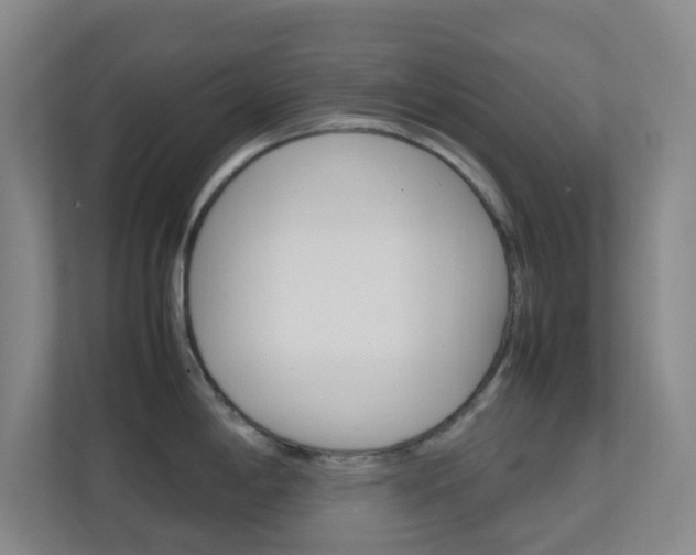 X0000113871198200909241000