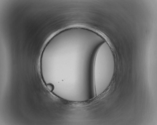 X0000113871199200909241000